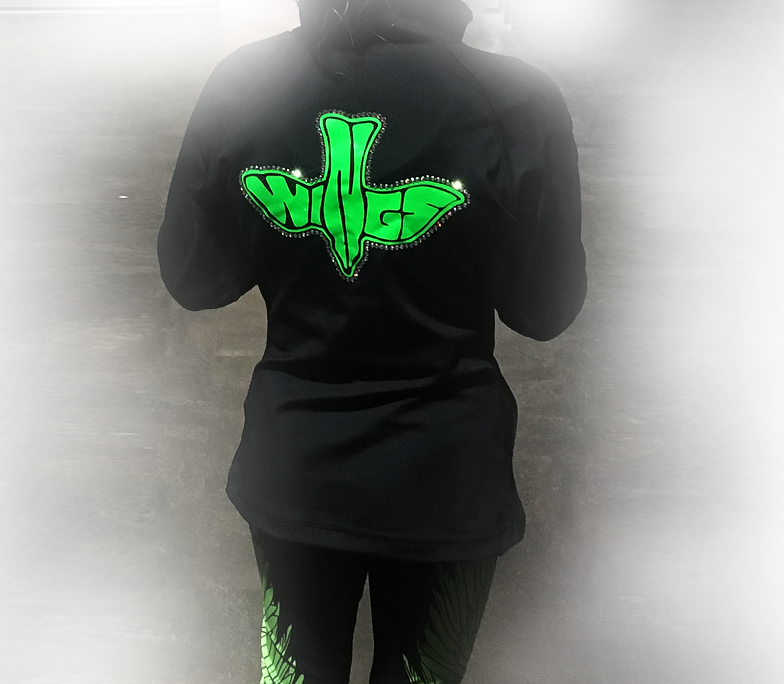 ARK WinGS Team Trussville